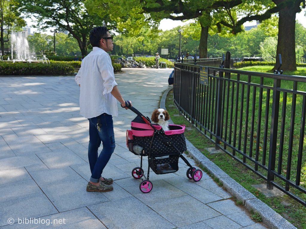 poussette pour chien occasion